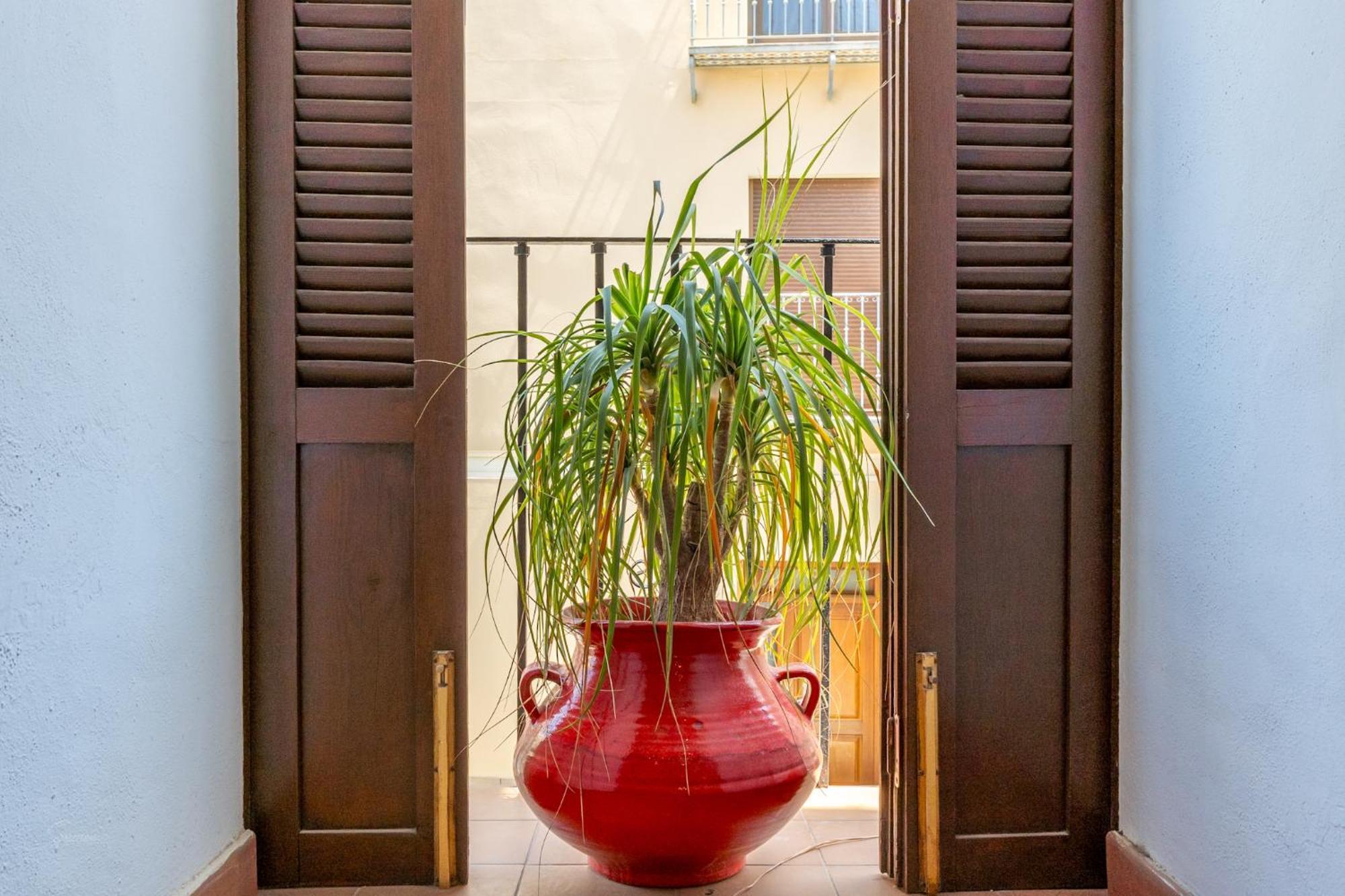 Appartamento Denia Townhouse Esterno foto